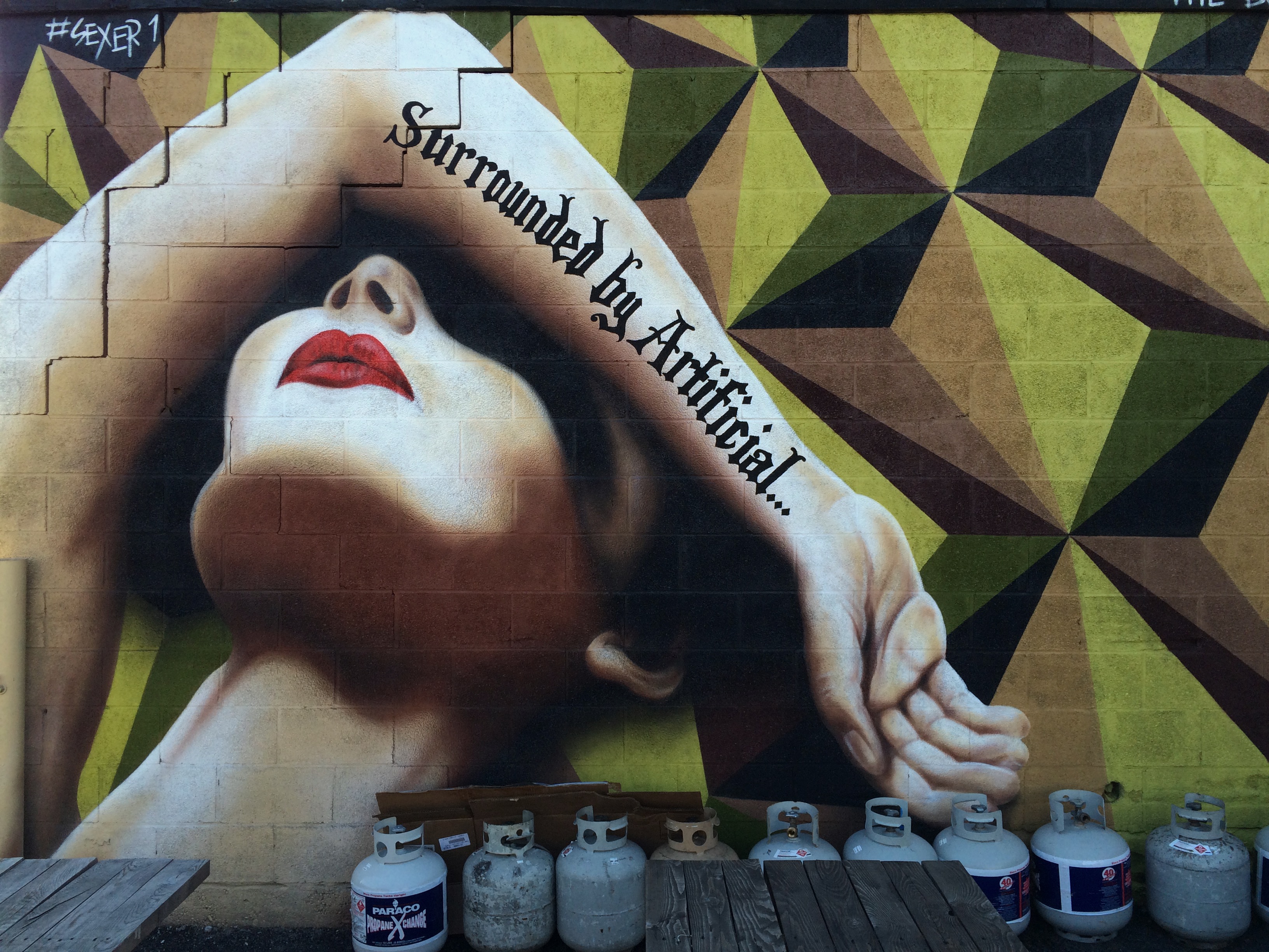 OHOS - Bushwick Street Art - Graffiti - OverHerd-OverScene