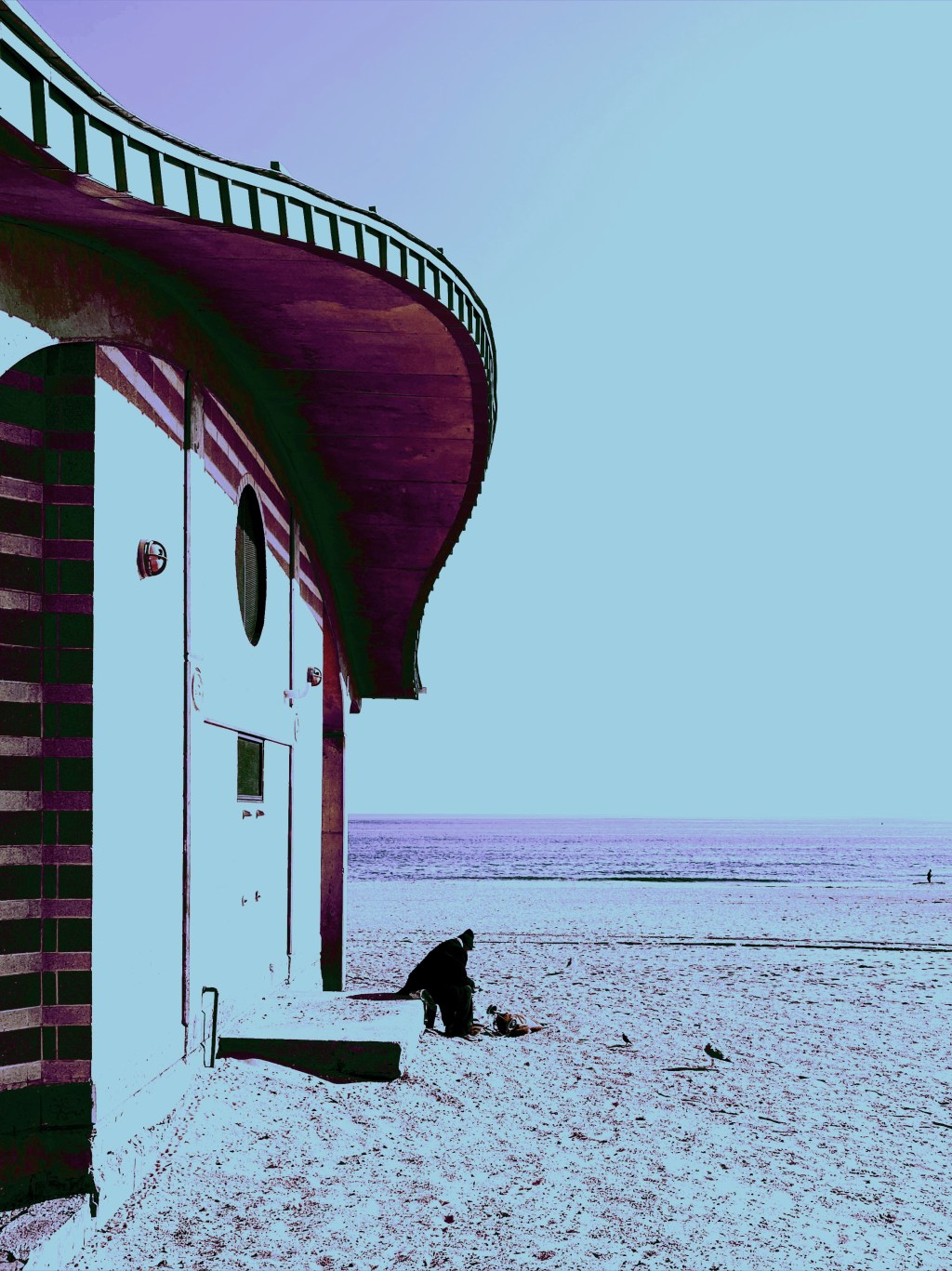 Feeding Gulls at Coney&nbsp;Island