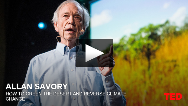TED-Allan-Savory-Vid-Screenshot